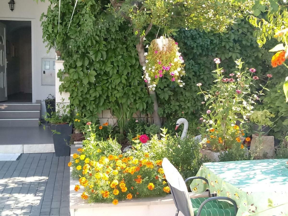 Apartments Centar - Mirjana Makarska Kültér fotó